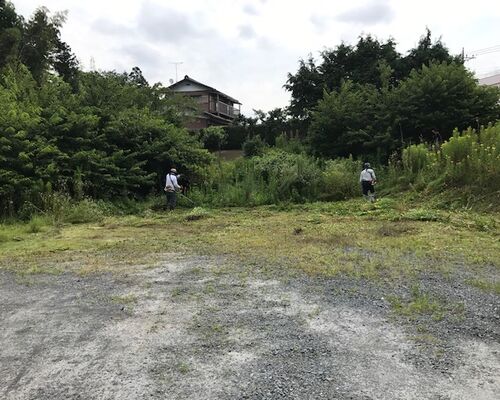 ブログ　草刈り