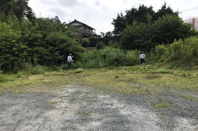 ブログ　草刈り
